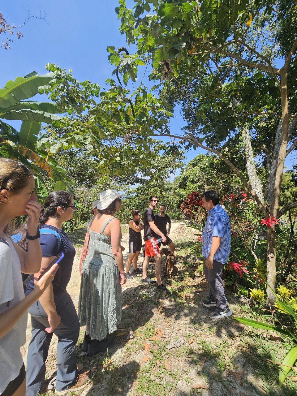 تور قهوه و کاکائو